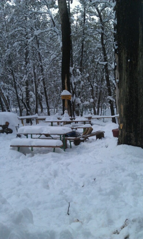 picnic area