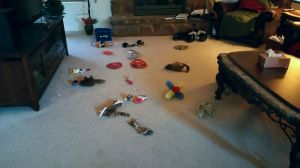 VZM.IMG_20150528_183745